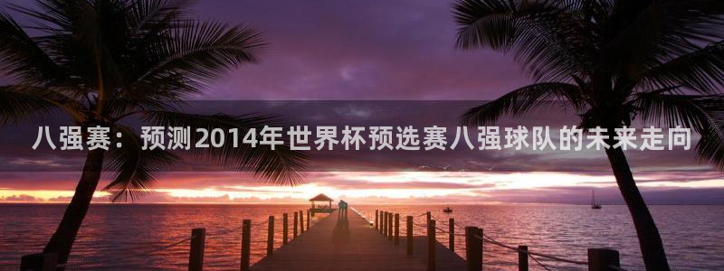 世界杯直播高清：八强赛：预测2014年世界杯预选赛八强球队的未来走向