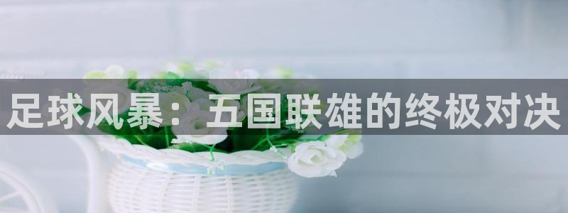 2026年男足世界杯：足球风暴：五国联雄的终极对决