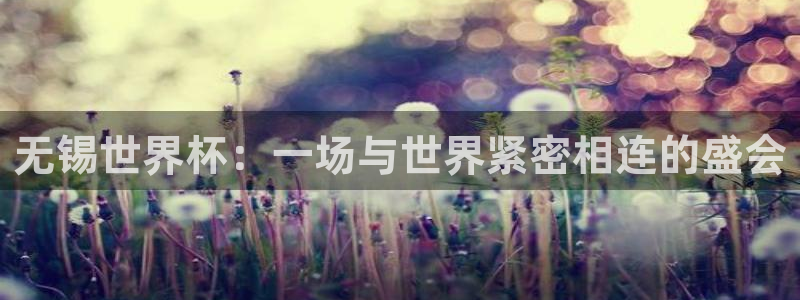 世界杯足球2026：无锡世界杯：一场与世界紧密相连的盛会