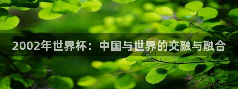 世预赛赛程表：2002年世界杯：中国与世界的交融与融合