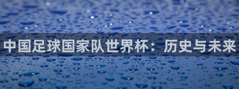 世界杯足球：中国足球国家队世界杯：历史与未来