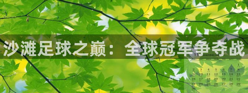 2026世界杯南美区积分榜：沙滩足球之巅：全球冠军争夺战
