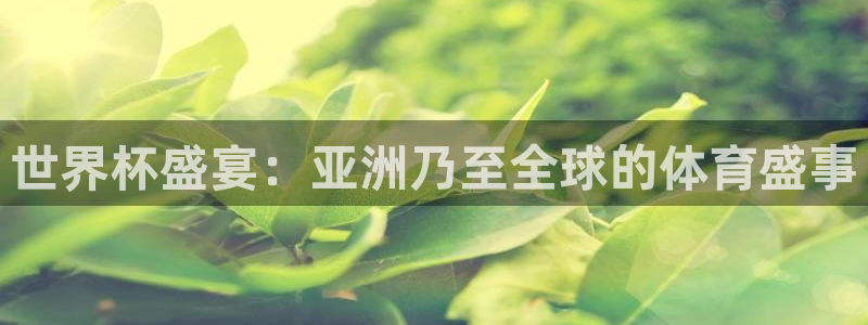 今年的世界杯：世界杯盛宴：亚洲乃至全球的体育盛事
