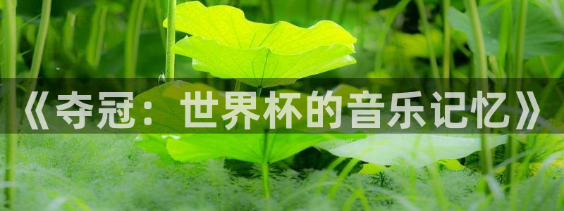 欧联杯直播：《夺冠：世界杯的音乐记忆》