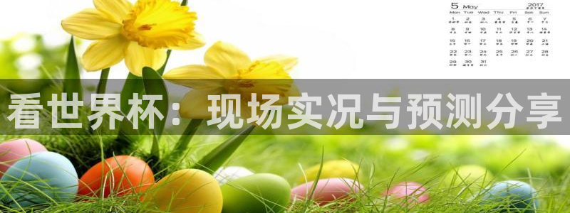 世界杯足球：看世界杯：现场实况与预测分享
