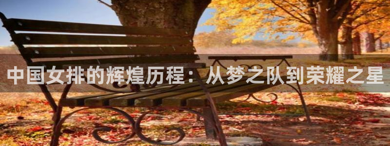 女足世界杯赛程：中国女排的辉煌历程：从梦之队到荣耀之星