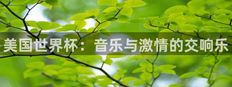 2026世界杯足球赛程时间表：美国世界杯：音乐与激情的交响乐