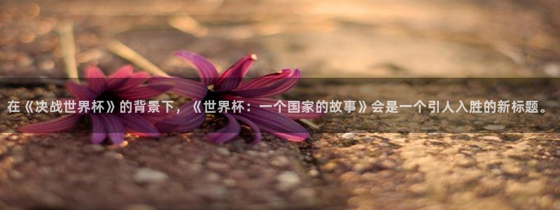 世界杯足球直播：在《决战世界杯》的背景下，《世界杯：一个国家的故事》会是一个引人入胜的新标题。