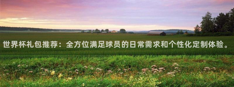 2026足球世界杯赛程：世界杯礼包推荐：全方位满足球员的日常需求和个性化定制体验。