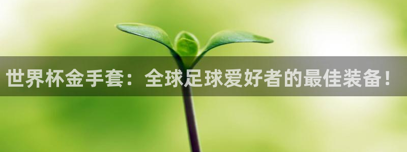 女足世界杯直播在线观看免费高清：世界杯金手套：全球足球爱好者的最佳装备！