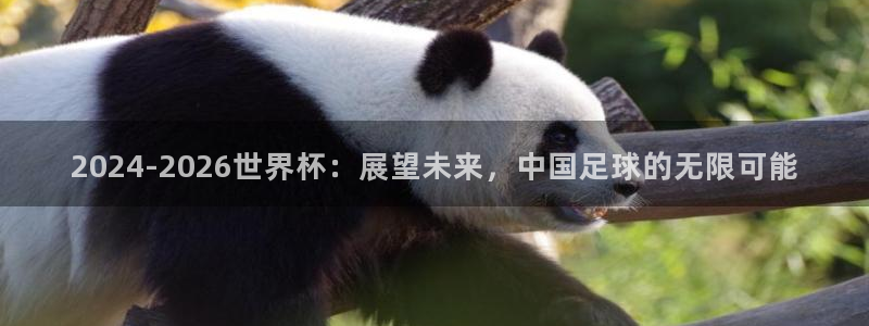 免费看足球直播比赛：2024-2026世界杯：展望未来，中国足球的无限可能