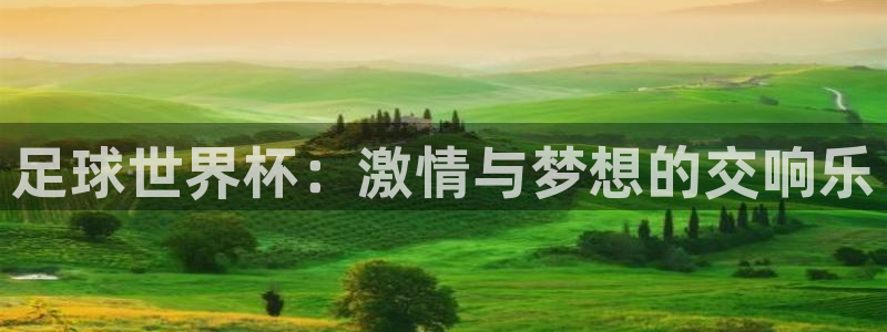 2026年男足世界杯：足球世界杯：激情与梦想的交响乐