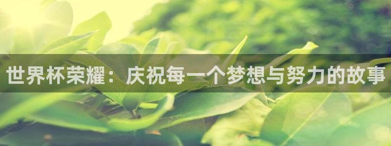 2026世界杯赛：世界杯荣耀：庆祝每一个梦想与努力的故事