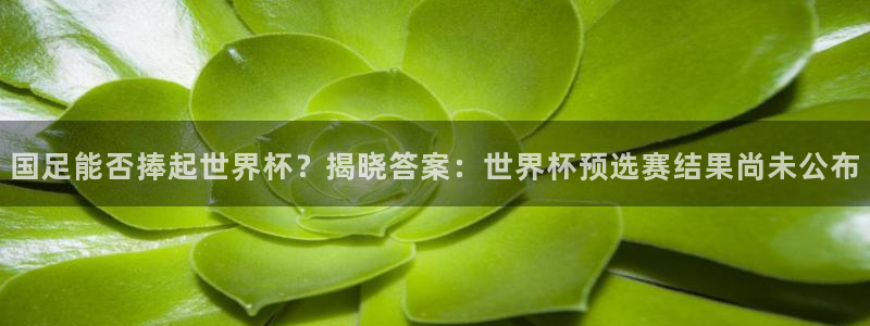 2026男足世界杯赛程：国足能否捧起世界杯？揭晓答案：世界杯预选赛结果尚未公布
